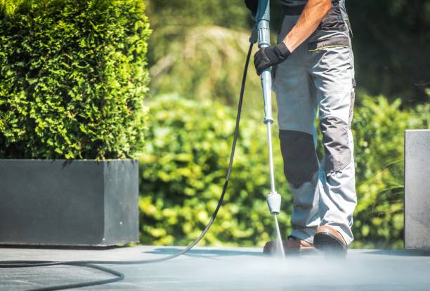 Boat and Dock Cleaning in Central City, IA